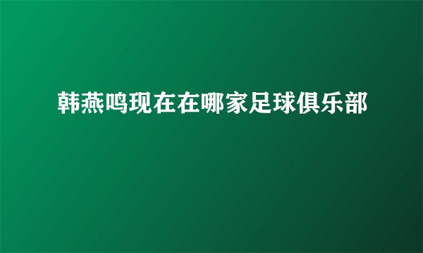 韩燕鸣现在在哪家足球俱乐部