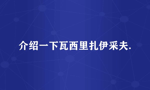 介绍一下瓦西里扎伊采夫.