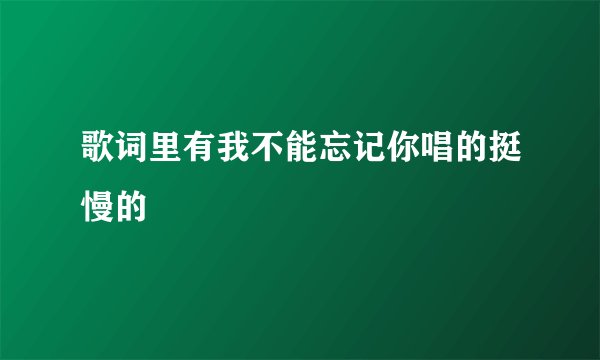 歌词里有我不能忘记你唱的挺慢的