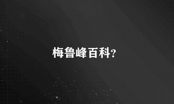 梅鲁峰百科？