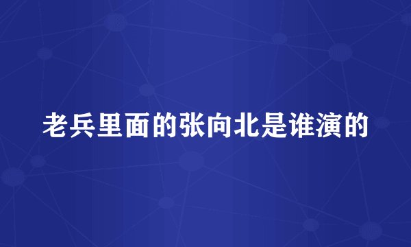 老兵里面的张向北是谁演的
