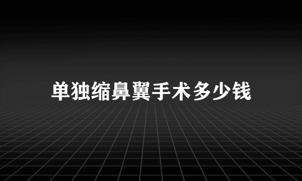 单独缩鼻翼手术多少钱