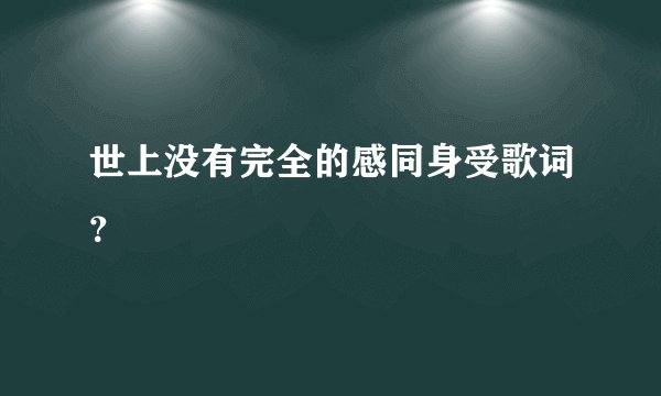 世上没有完全的感同身受歌词？