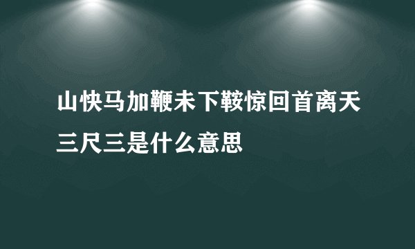 山快马加鞭未下鞍惊回首离天三尺三是什么意思