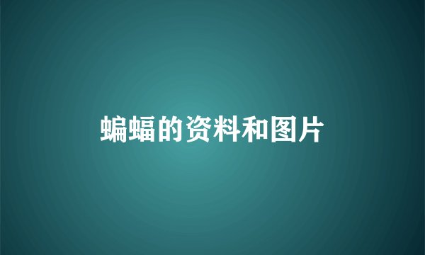 蝙蝠的资料和图片