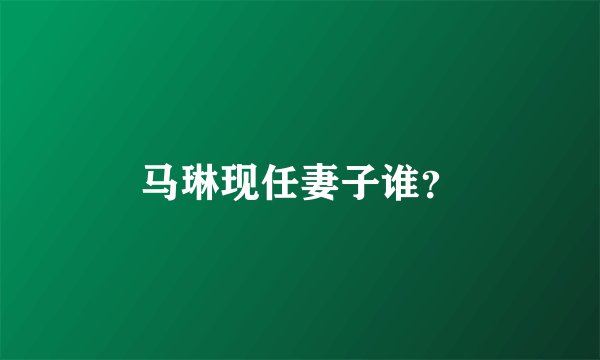 马琳现任妻子谁？