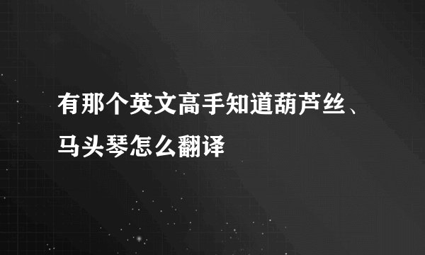 有那个英文高手知道葫芦丝、马头琴怎么翻译