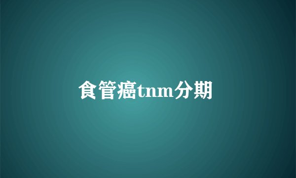 食管癌tnm分期 