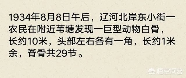 营口坠龙、松花江坠龙,为何历史上有那么多的坠龙事件?