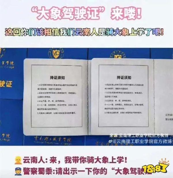 “大象驾驶证”网络走红!到底是啥东东?