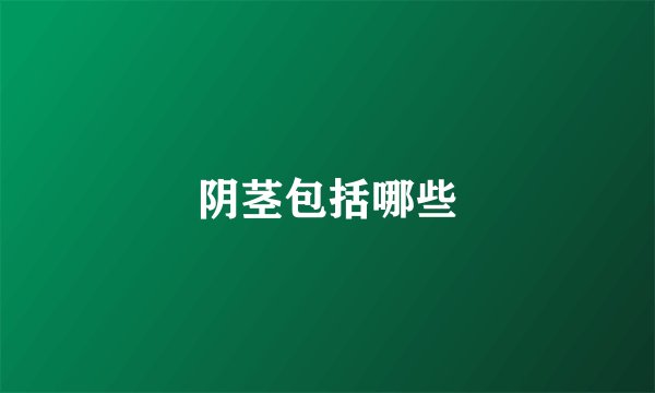 阴茎包括哪些
