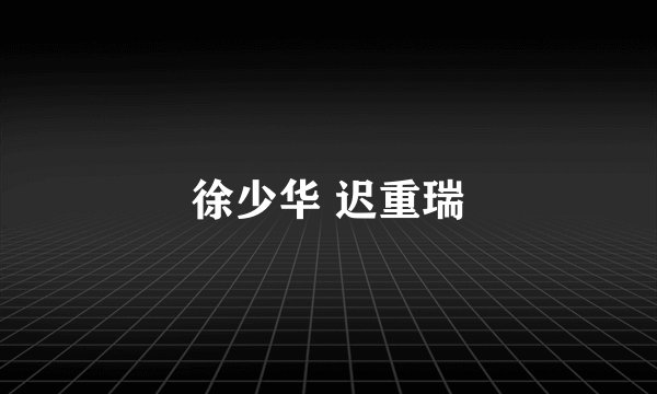 徐少华 迟重瑞