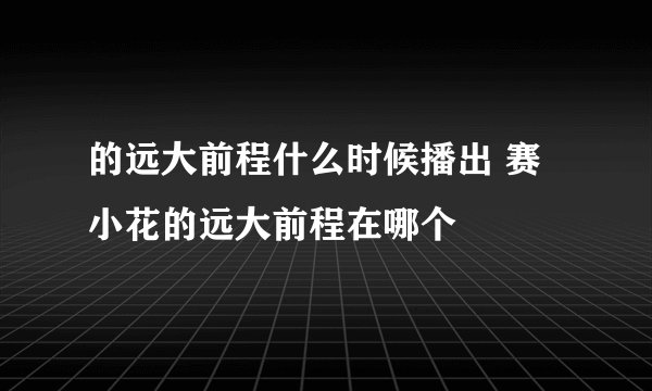 的远大前程什么时候播出 赛小花的远大前程在哪个