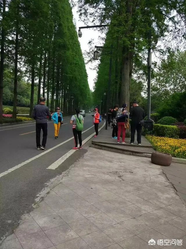 都江堰青城山周边一日游，该怎么安排？