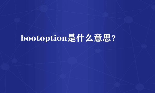 bootoption是什么意思？