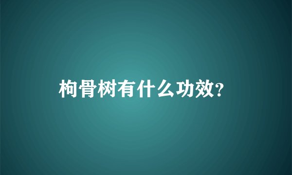 枸骨树有什么功效？