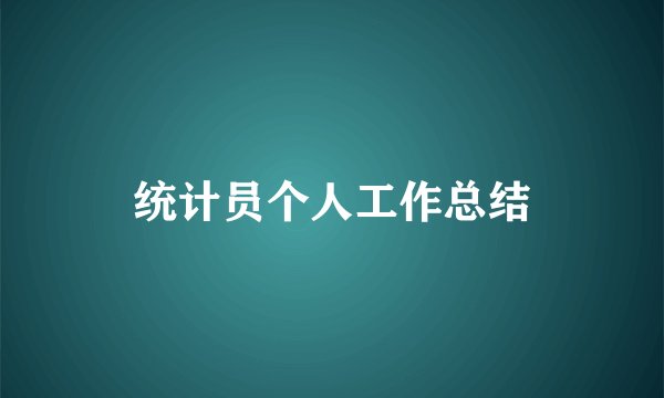 统计员个人工作总结