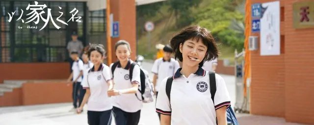 以家人之名是什么小说 以家人之名介绍