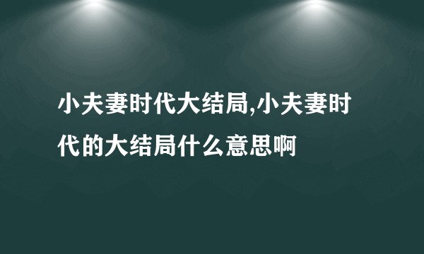 小夫妻时代大结局,小夫妻时代的大结局什么意思啊