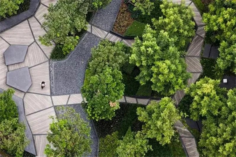 庭院造景植物设计指南