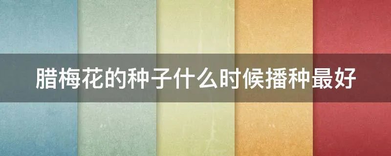 腊梅花的种子什么时候播种最好