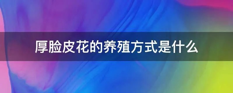 厚脸皮花的养殖方式是什么