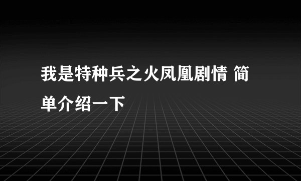 我是特种兵之火凤凰剧情 简单介绍一下