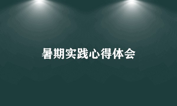 暑期实践心得体会