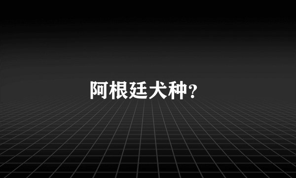 阿根廷犬种？