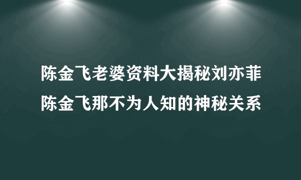 陈金飞老婆资料大揭秘刘亦菲陈金飞那不为人知的神秘关系
