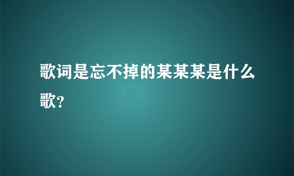 歌词是忘不掉的某某某是什么歌？