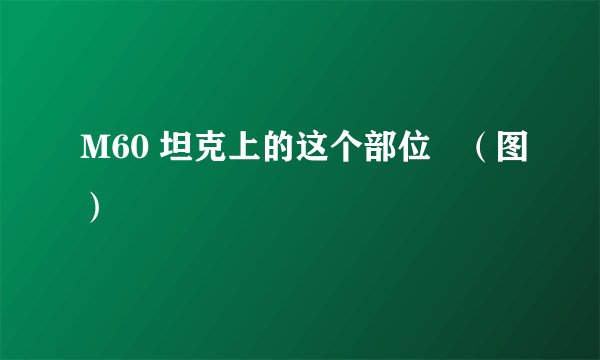 M60 坦克上的这个部位   （图）