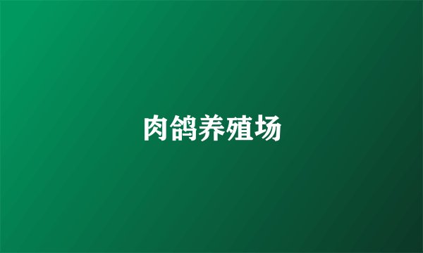 肉鸽养殖场