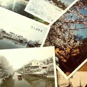 芜狐网的介绍
