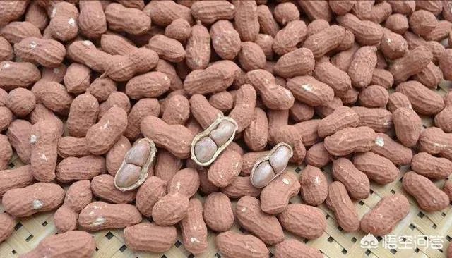 龙岩花生为什么那么脆