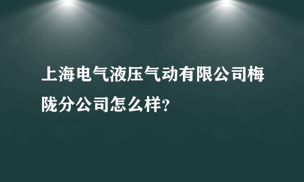 上海电气液压气动有限公司梅陇分公司怎么样？