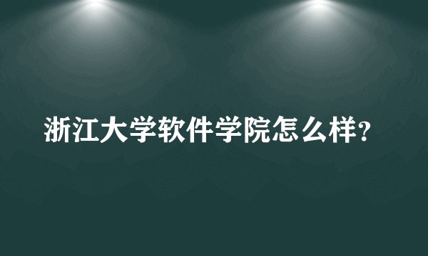 浙江大学软件学院怎么样？