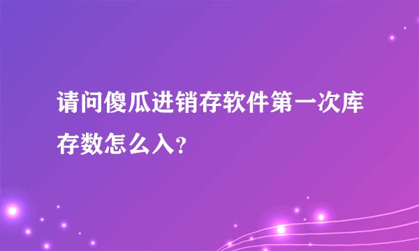 请问傻瓜进销存软件第一次库存数怎么入？