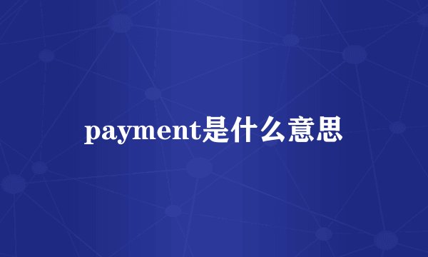 payment是什么意思