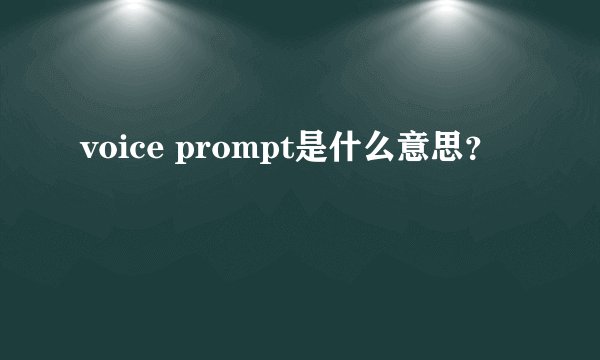 voice prompt是什么意思？