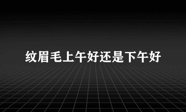 纹眉毛上午好还是下午好