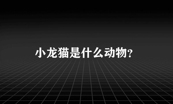 小龙猫是什么动物？
