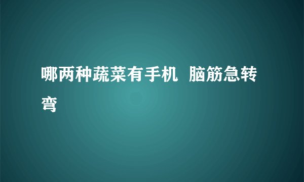哪两种蔬菜有手机  脑筋急转弯
