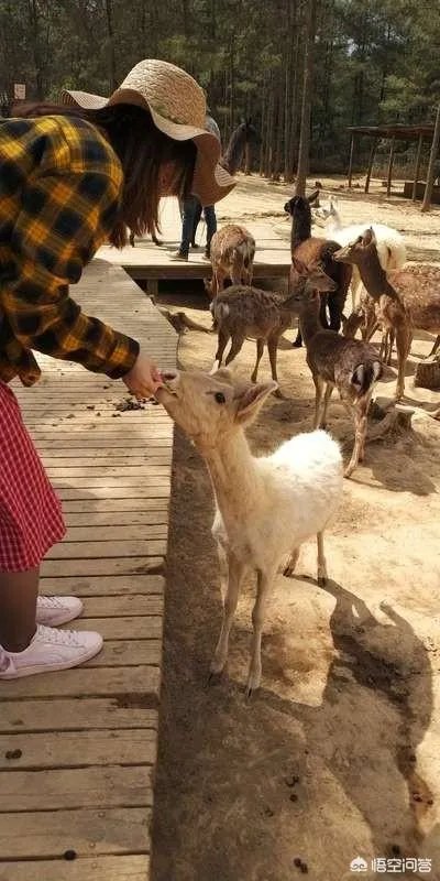 在你旅行的记忆里,哪里的女孩最美?