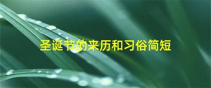 圣诞节的来历和习俗简短