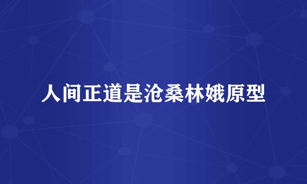 人间正道是沧桑林娥原型