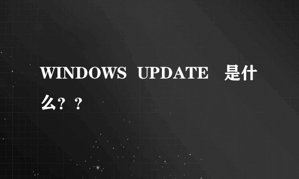 WINDOWS UPDATE 是什么??