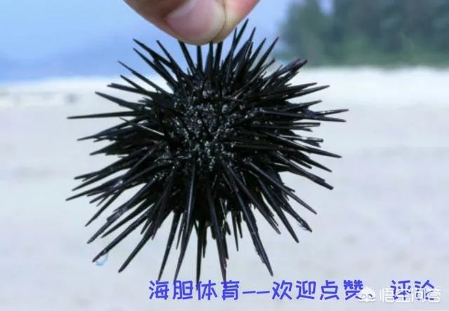 没有福特森,浙江广厦真的这么不堪一击吗?