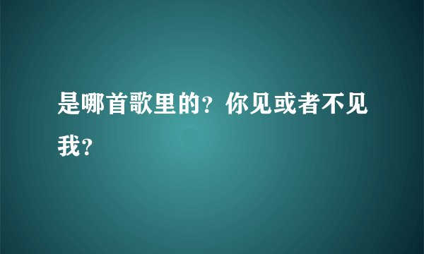 是哪首歌里的？你见或者不见我？