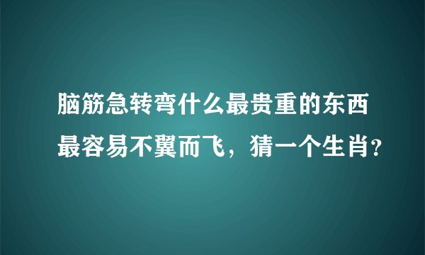 脑筋急转弯什么最贵重的东西最容易不翼而飞，猜一个生肖？